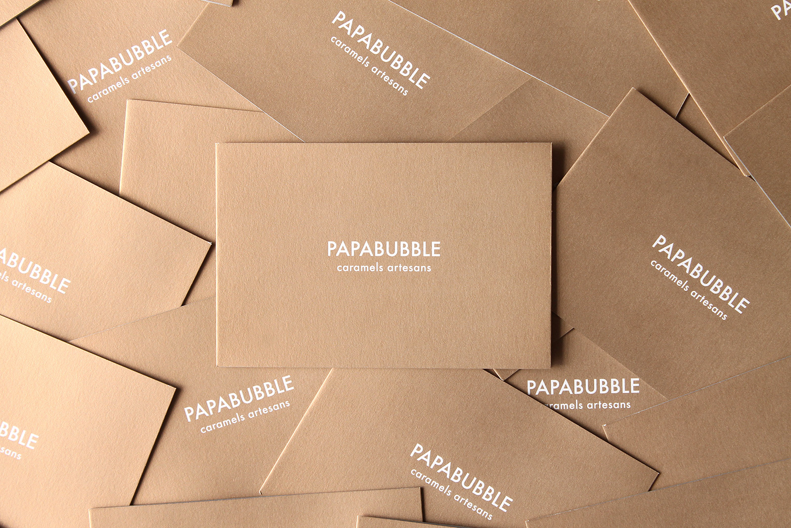 パパブブレ「折りパンフレット」_1