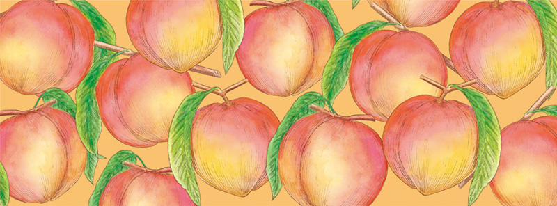 アフタヌーンティー・ティールーム「春の紅茶・焼き菓子」パッケージ_8