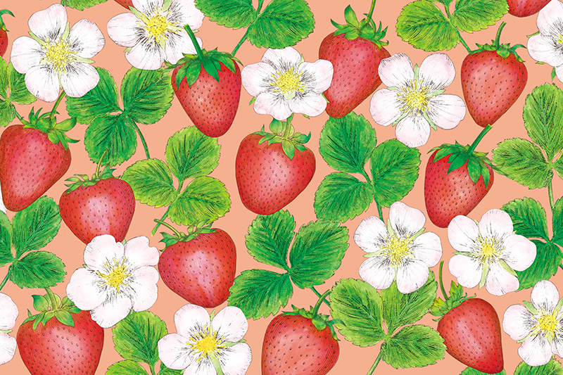 アフタヌーンティー・ティールーム「春の紅茶・焼き菓子」パッケージ_6