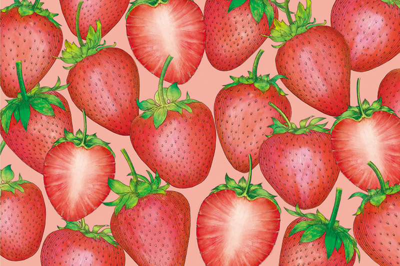 アフタヌーンティー・ティールーム「春の紅茶・焼き菓子」パッケージ_5