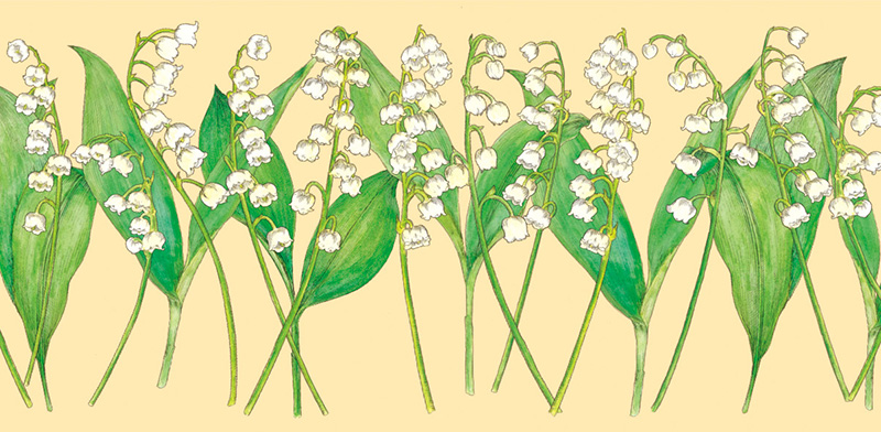 アフタヌーンティー・ティールーム「春の紅茶・焼き菓子」パッケージ_9