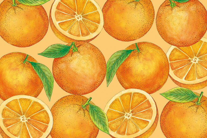 アフタヌーンティー・ティールーム「春の紅茶・焼き菓子」パッケージ_7