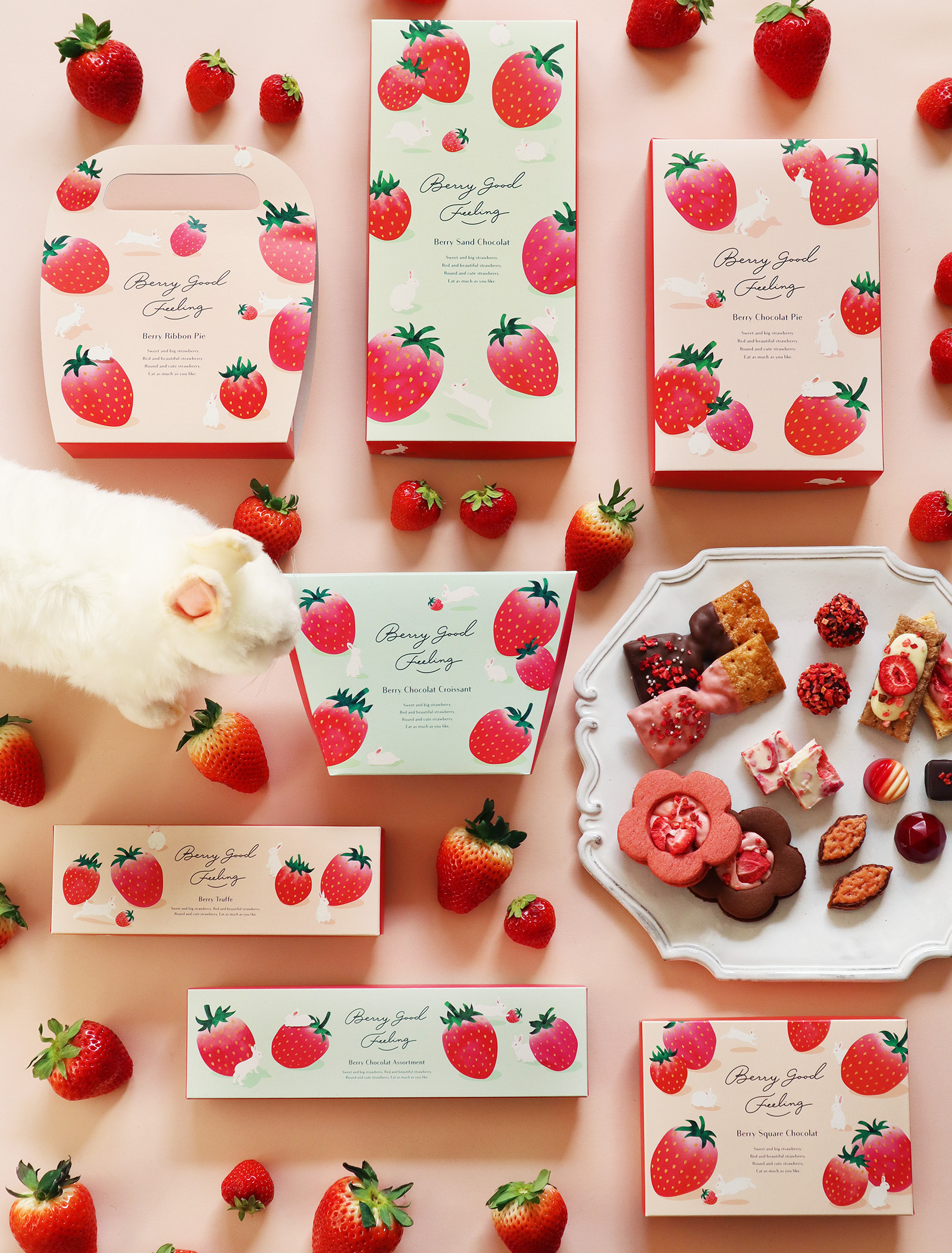 Berry good feeling（ベリーグッドフィーリング）_パッケージデザイン_1