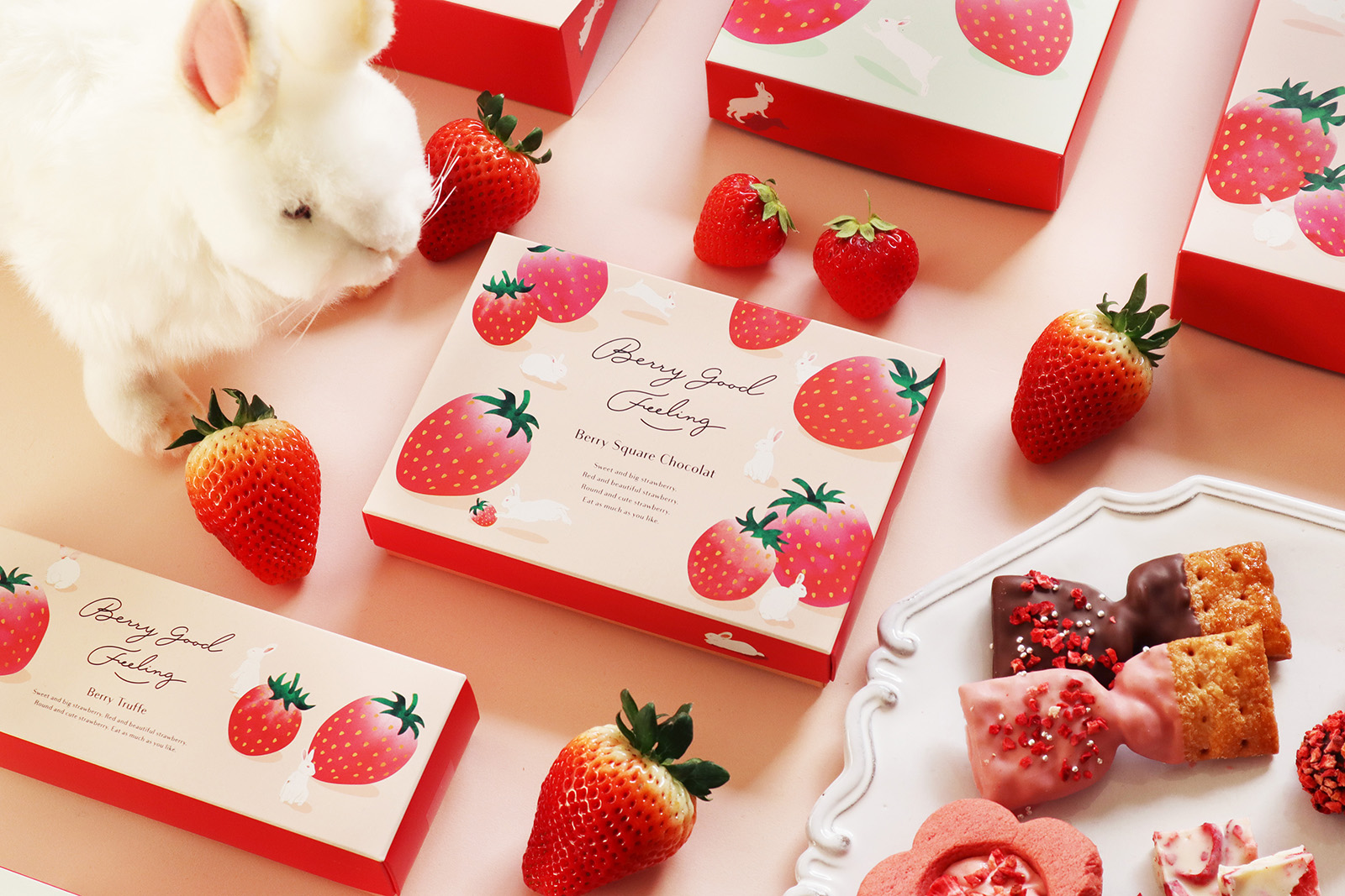 Berry good feeling（ベリーグッドフィーリング）_パッケージデザイン_2