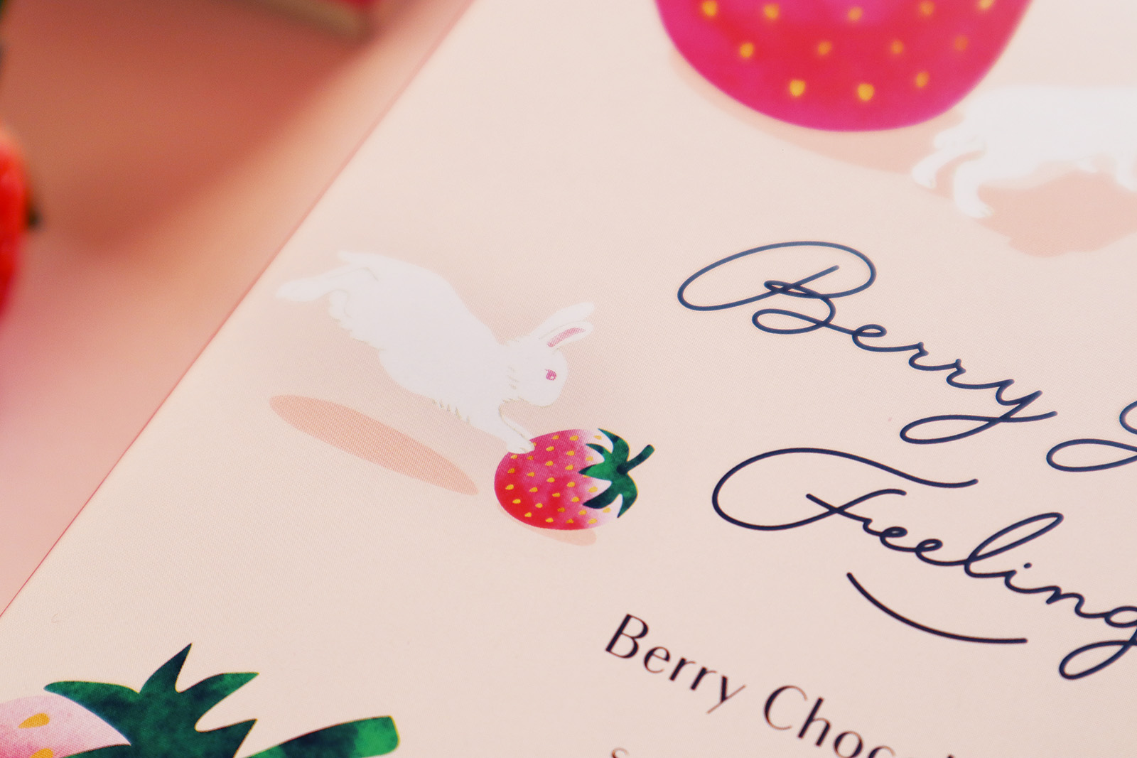 Berry good feeling（ベリーグッドフィーリング）_パッケージデザイン_3