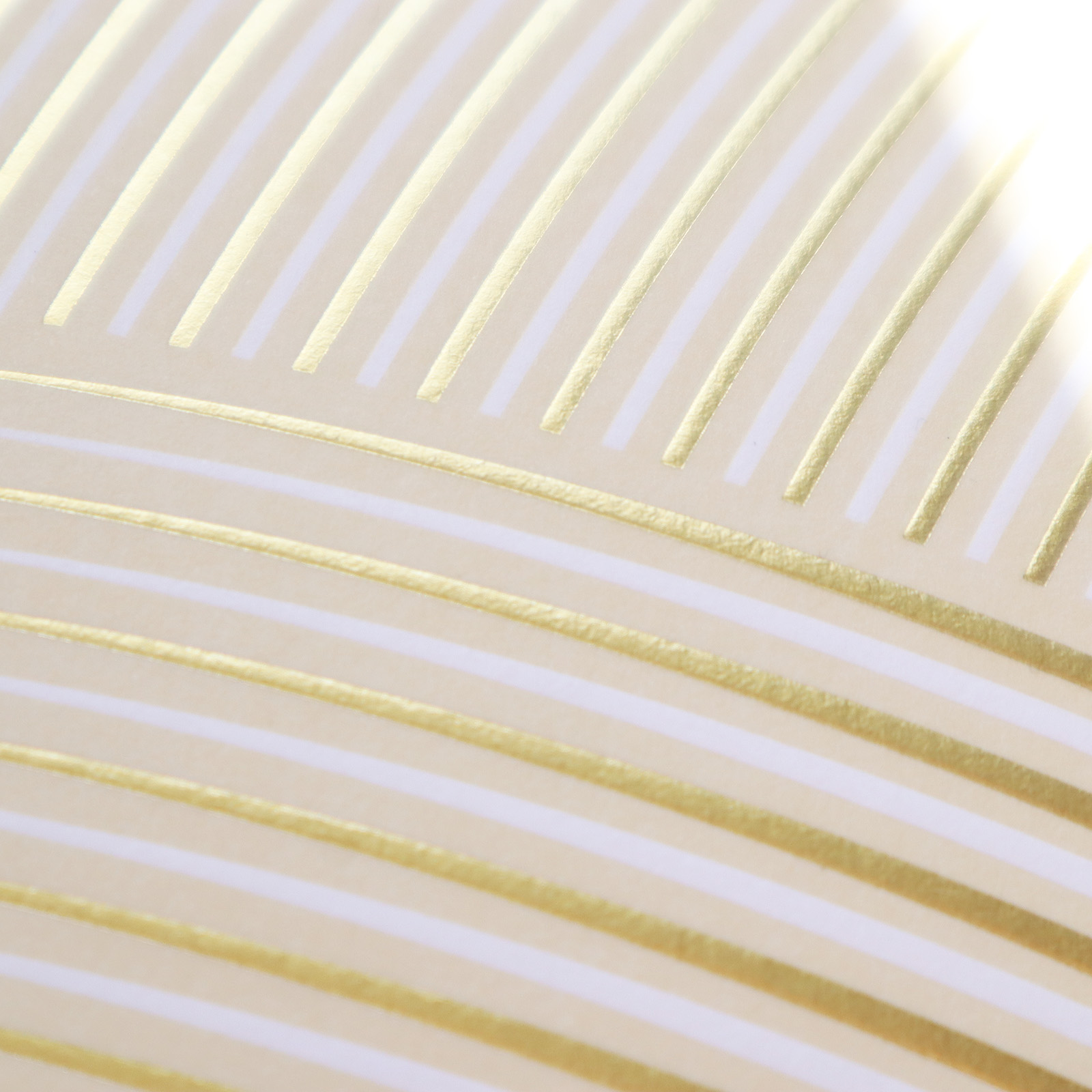 JAPAN JUICE（日本果汁） セレクトカンキツガナッシュ「SUI」パッケージデザイン_4