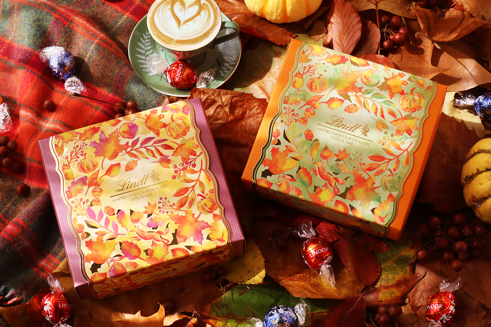 リンツ オータムコレクション パッケージデザイン_1