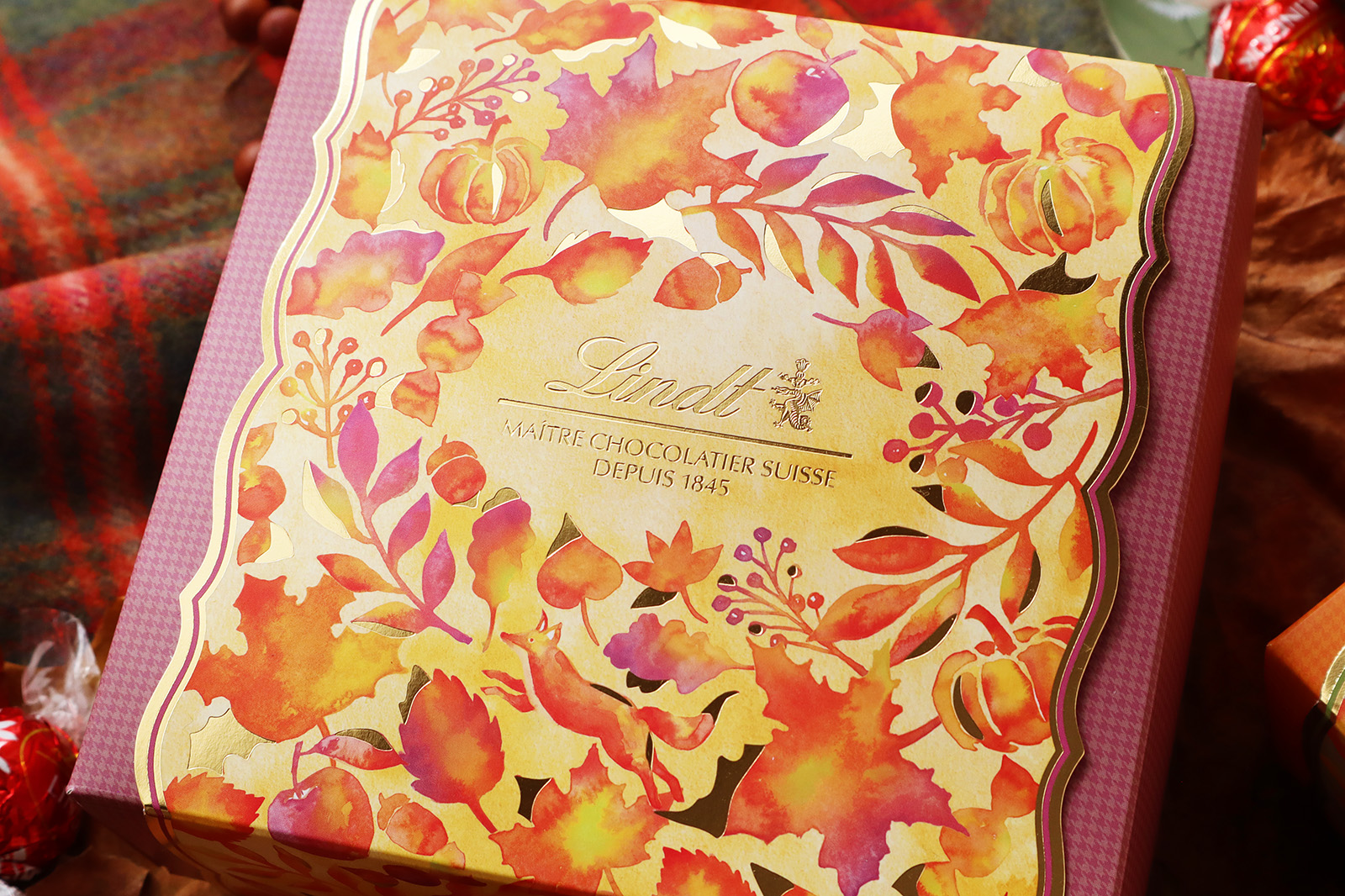 リンツ オータムコレクション パッケージデザイン_2