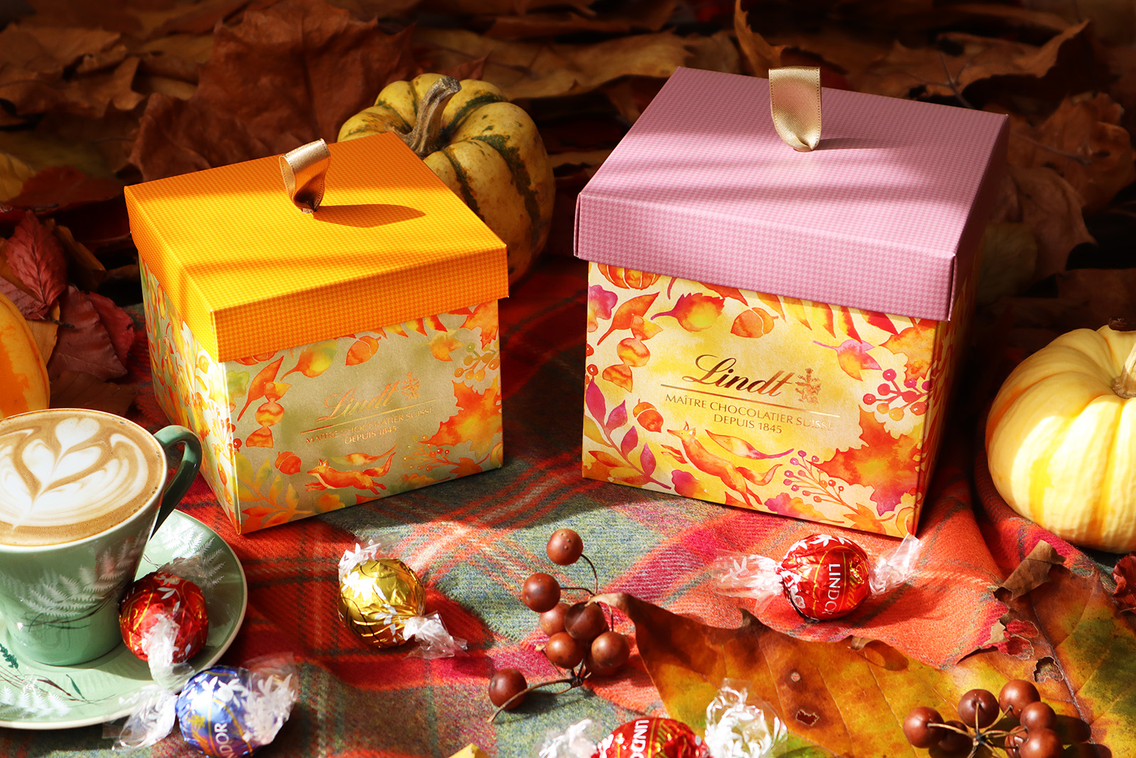 リンツ オータムコレクション パッケージデザイン_5