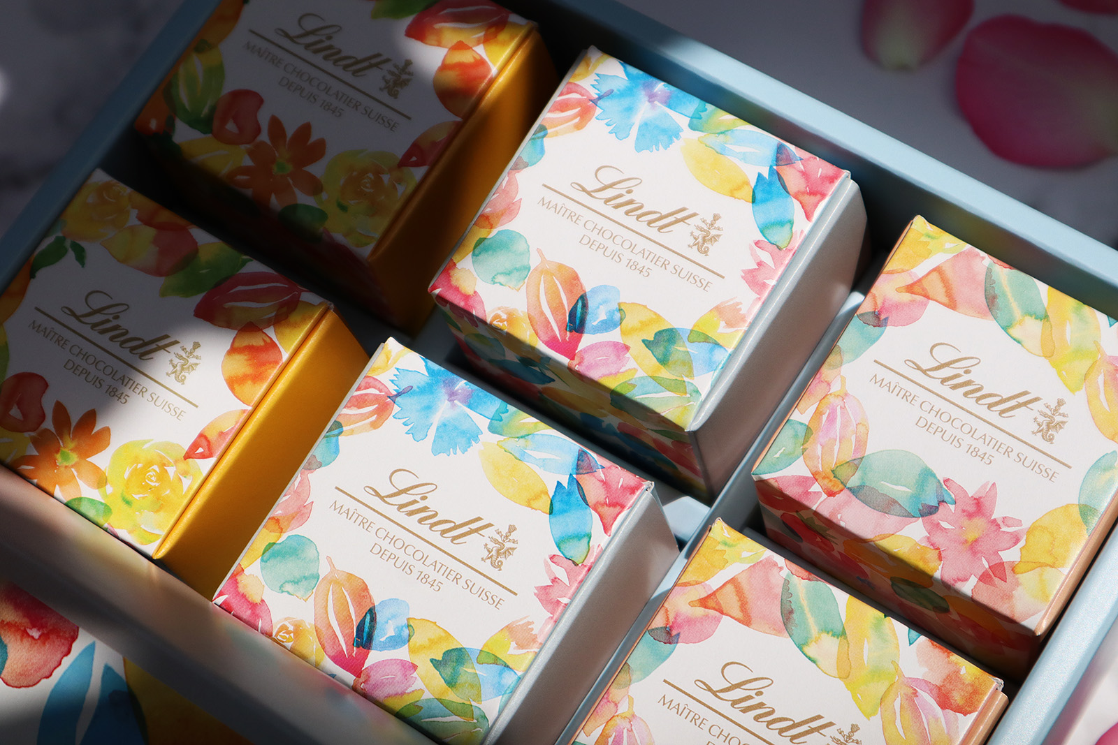 リンツ アーリーサマーコレクション パッケージデザイン_1