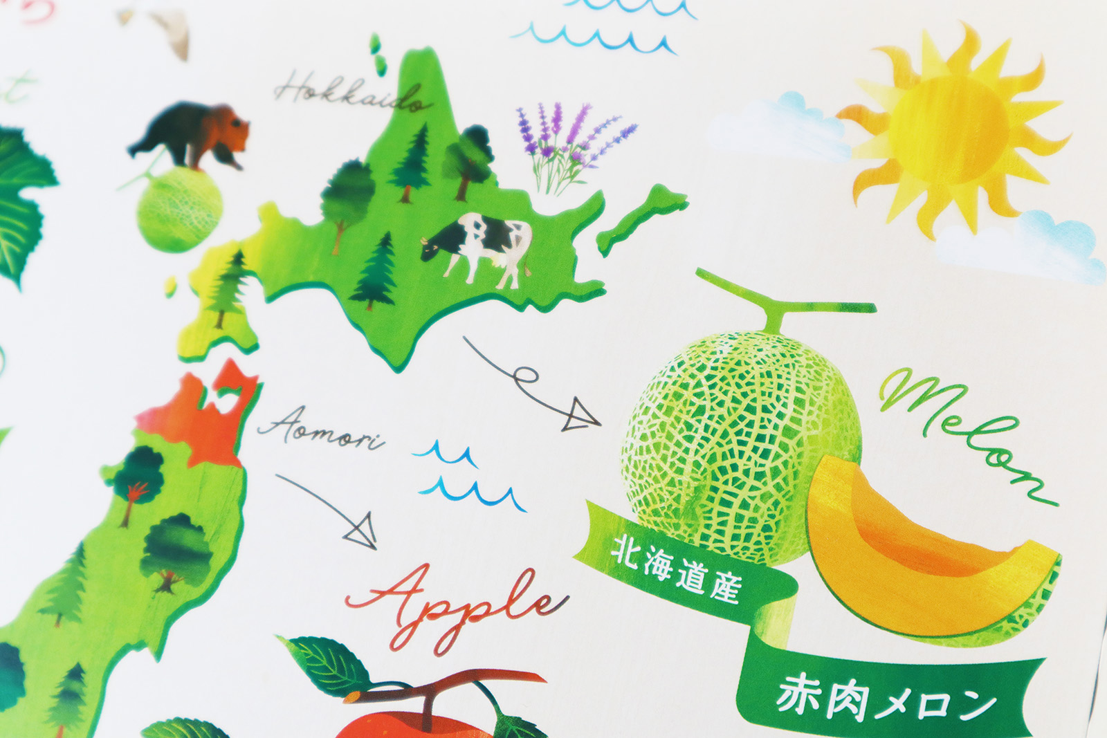 セゾン デュ フリュイ 国産果実のひとくちゼリー パッケージデザイン_4