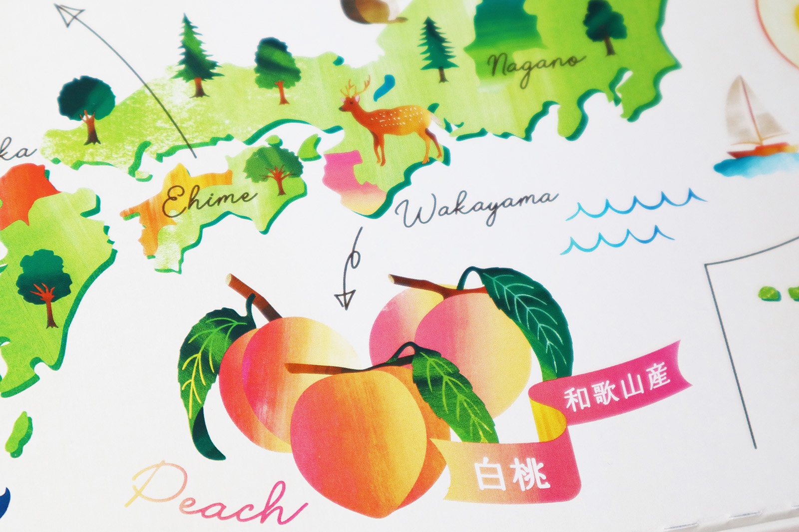 セゾン デュ フリュイ 国産果実のひとくちゼリー パッケージデザイン_5